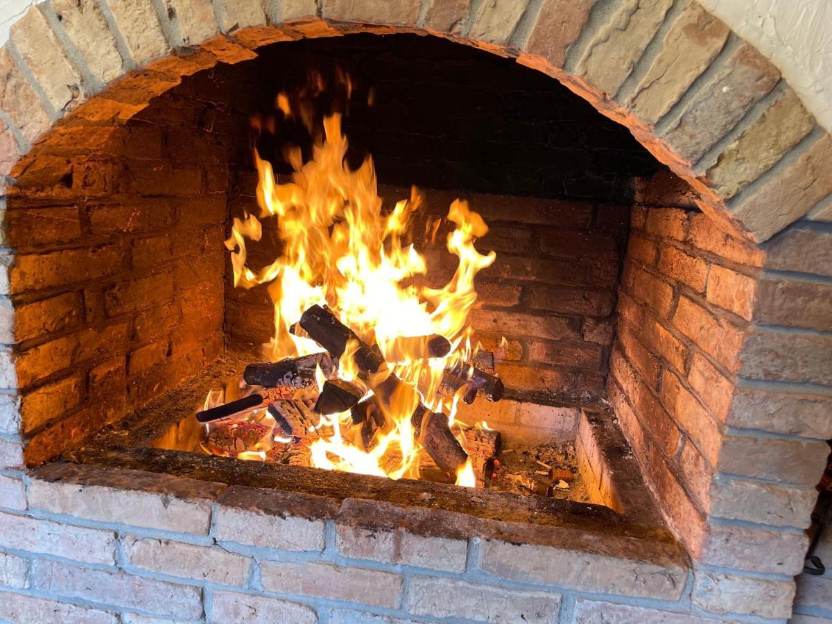 Pensiunea Coronita Viseu de Sus Luaran gambar