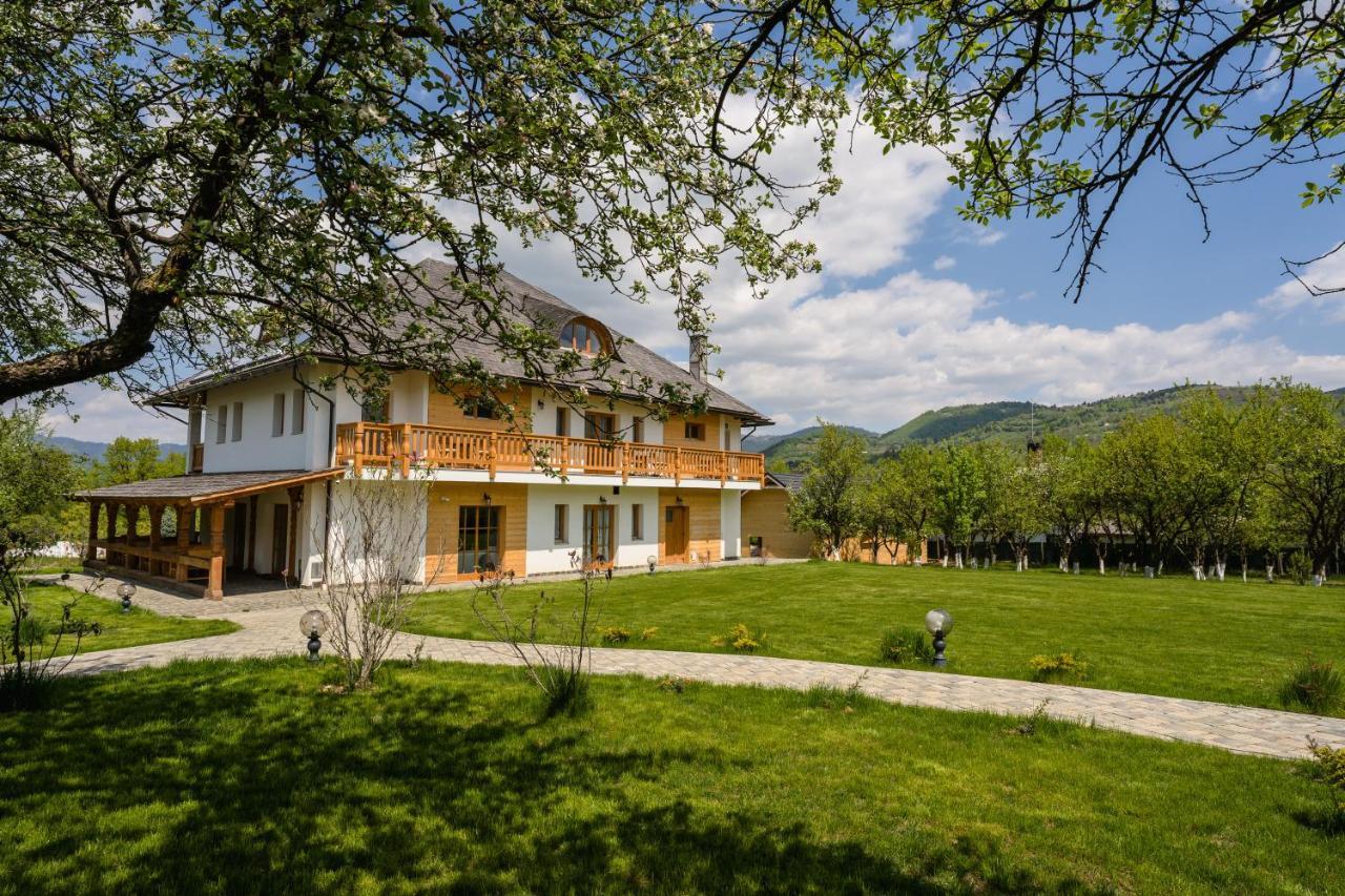 Pensiunea Coronita Viseu de Sus Luaran gambar