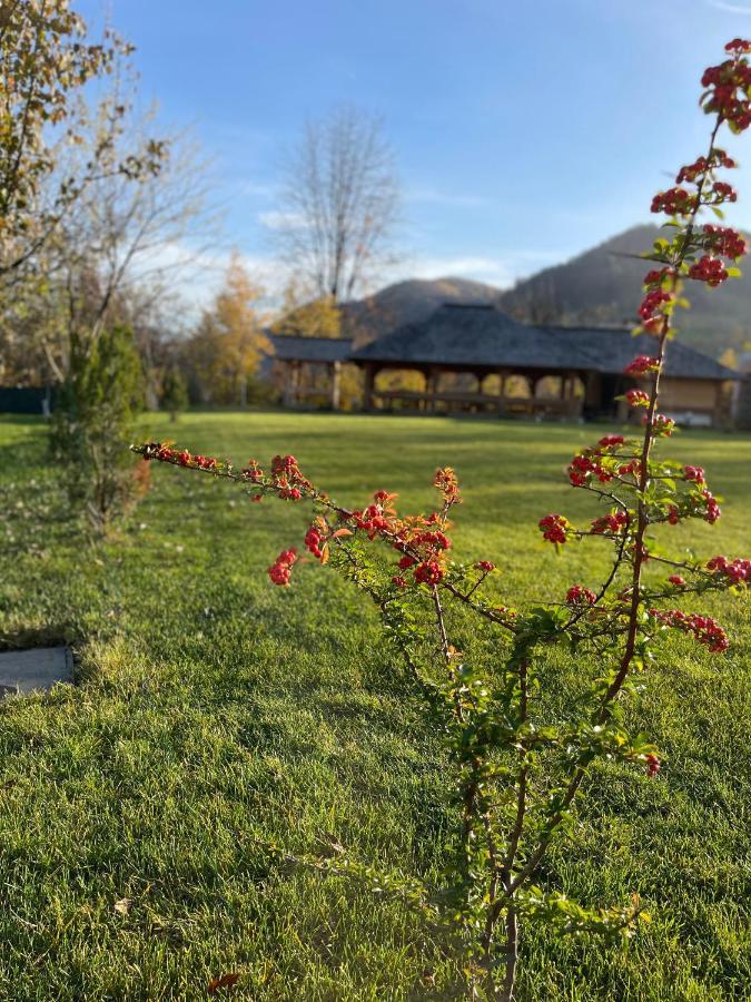 Pensiunea Coronita Viseu de Sus Luaran gambar